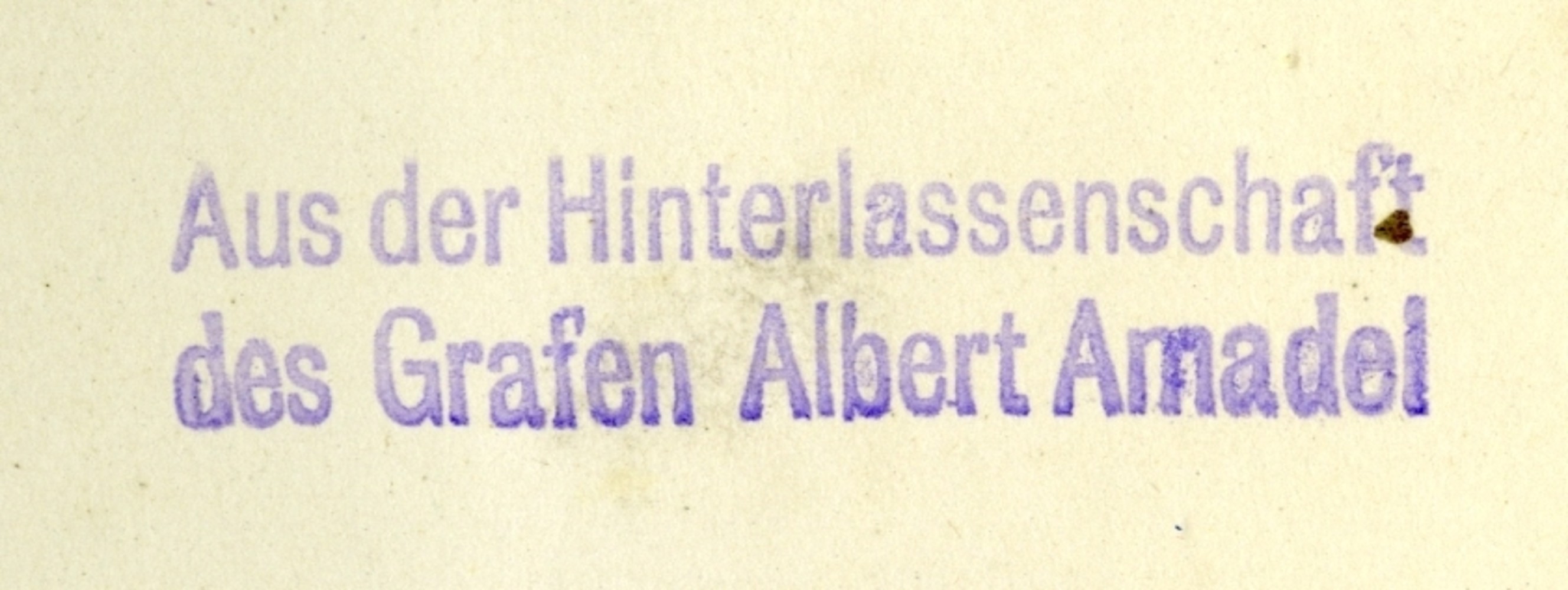 Beschreibung
